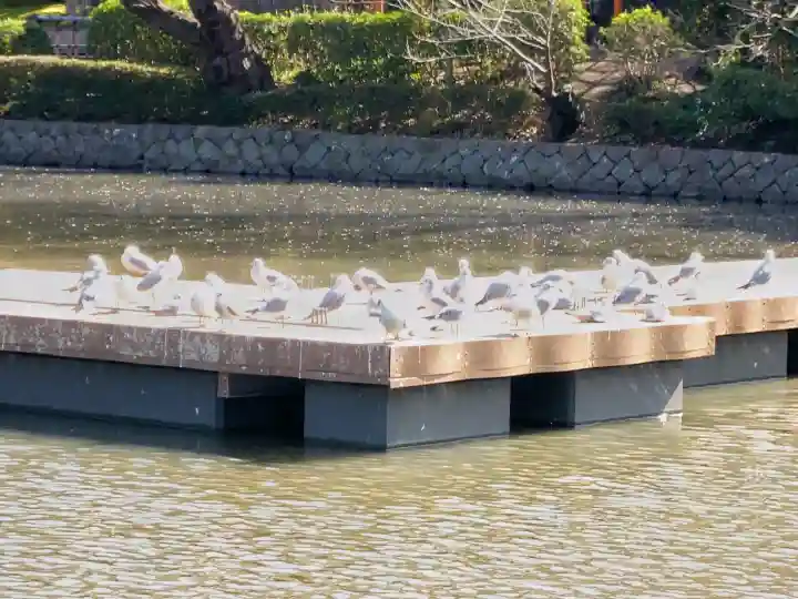 旗上弁財天社の{uncategorized: "未分類", other: "その他", undefined: "問題あり", building: "その他建物", grave: "お墓", sacred_gate: "鳥居", guardian: "狛犬", statue: "像", buddha: "仏像", history: "歴史", nature: "自然", garden: "庭園", animal: "動物", pagoda: "塔", temizu: "手水舎", mountain_gate: "山門・神門", sanctuary: "本殿・本堂", subordinate: "末社・摂社", art: "芸術", scenery: "景色", jizo: "地蔵", ema: "絵馬", goshuin: "御朱印", omikuji: "おみくじ", items: "授与品その他", amulet: "お守り", goshuincho: "御朱印帳", eats: "食事", festival: "お祭り", votive_dance: "神楽", shichigosan: "七五三参", wedding: "結婚式", experience: "体験その他", initially: "初詣", around: "周辺", anti_infection: "感染症対策"}