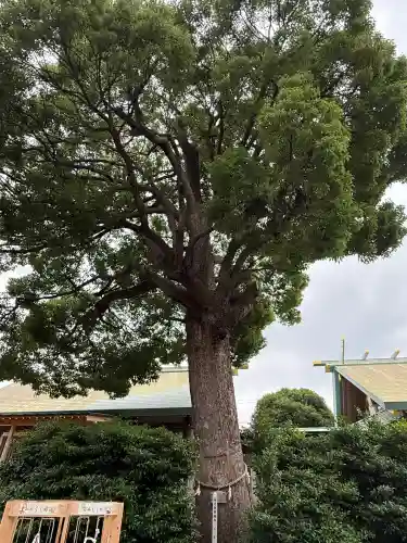 伊勢原大神宮(神奈川県)