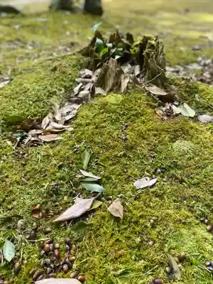 橿原神宮(奈良県)