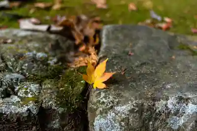 大矢田神社(岐阜県)