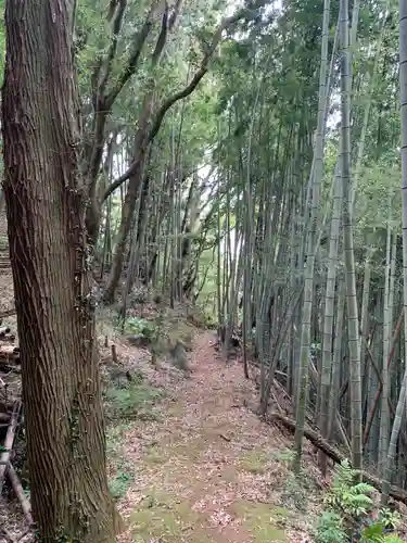 八幡神社の景色