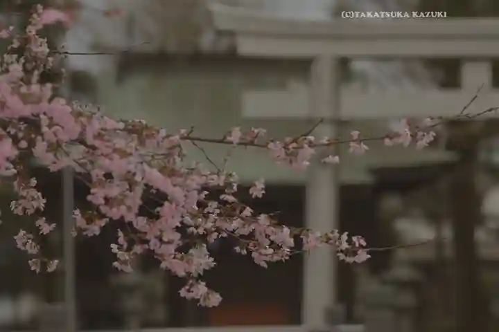 今泉神社(神奈川県)