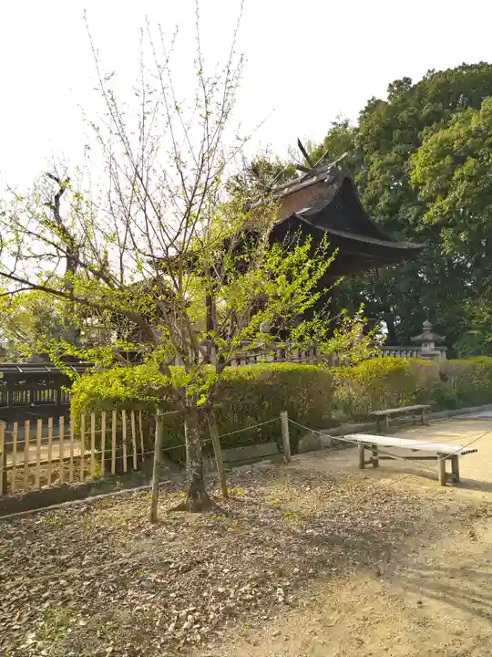 阿智神社の本殿・本堂