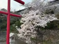 神咒寺の{uncategorized: "未分類", other: "その他", undefined: "問題あり", building: "その他建物", grave: "お墓", sacred_gate: "鳥居", guardian: "狛犬", statue: "像", buddha: "仏像", history: "歴史", nature: "自然", garden: "庭園", animal: "動物", pagoda: "塔", temizu: "手水舎", mountain_gate: "山門・神門", sanctuary: "本殿・本堂", subordinate: "末社・摂社", art: "芸術", scenery: "景色", jizo: "地蔵", ema: "絵馬", goshuin: "御朱印", omikuji: "おみくじ", items: "授与品その他", amulet: "お守り", goshuincho: "御朱印帳", eats: "食事", festival: "お祭り", votive_dance: "神楽", shichigosan: "七五三参", wedding: "結婚式", experience: "体験その他", initially: "初詣", around: "周辺", anti_infection: "感染症対策"}
