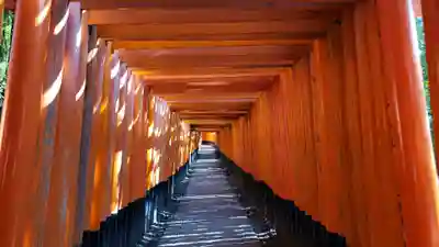 伏見稲荷大社の鳥居