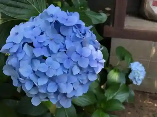 白山神社の自然