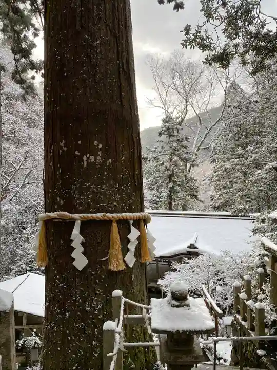 由岐神社(京都府)