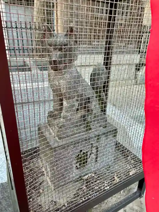 女塚神社の{uncategorized: "未分類", other: "その他", undefined: "問題あり", building: "その他建物", grave: "お墓", sacred_gate: "鳥居", guardian: "狛犬", statue: "像", buddha: "仏像", history: "歴史", nature: "自然", garden: "庭園", animal: "動物", pagoda: "塔", temizu: "手水舎", mountain_gate: "山門・神門", sanctuary: "本殿・本堂", subordinate: "末社・摂社", art: "芸術", scenery: "景色", jizo: "地蔵", ema: "絵馬", goshuin: "御朱印", omikuji: "おみくじ", items: "授与品その他", amulet: "お守り", goshuincho: "御朱印帳", eats: "食事", festival: "お祭り", votive_dance: "神楽", shichigosan: "七五三参", wedding: "結婚式", experience: "体験その他", initially: "初詣", around: "周辺", anti_infection: "感染症対策"}