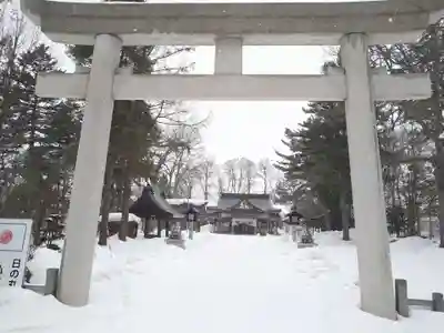 鷹栖神社の鳥居
