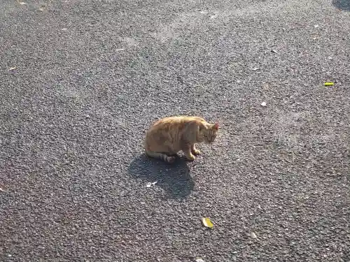 清水寺(福岡県)