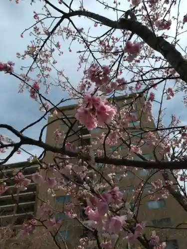宮代神社(東京都)