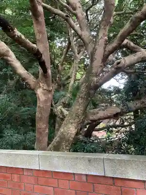 猿田神社の自然