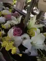 鳩森八幡神社の手水舎