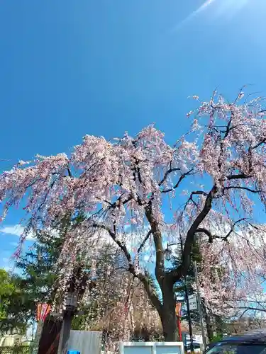 開成山大神宮(福島県)