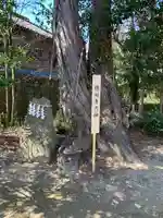 星宮神社のその他建物