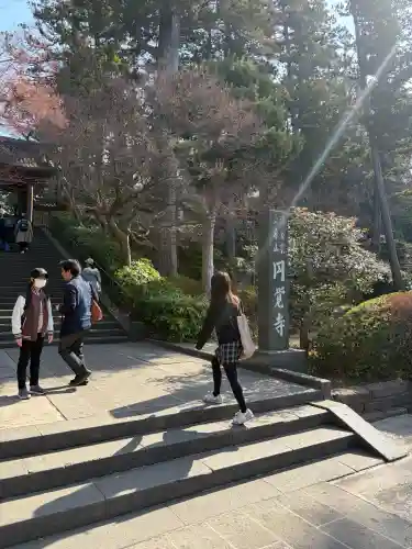 円覚寺の{uncategorized: "未分類", other: "その他", undefined: "問題あり", building: "その他建物", grave: "お墓", sacred_gate: "鳥居", guardian: "狛犬", statue: "像", buddha: "仏像", history: "歴史", nature: "自然", garden: "庭園", animal: "動物", pagoda: "塔", temizu: "手水舎", mountain_gate: "山門・神門", sanctuary: "本殿・本堂", subordinate: "末社・摂社", art: "芸術", scenery: "景色", jizo: "地蔵", ema: "絵馬", goshuin: "御朱印", omikuji: "おみくじ", items: "授与品その他", amulet: "お守り", goshuincho: "御朱印帳", eats: "食事", festival: "お祭り", votive_dance: "神楽", shichigosan: "七五三参", wedding: "結婚式", experience: "体験その他", initially: "初詣", around: "周辺", anti_infection: "感染症対策"}