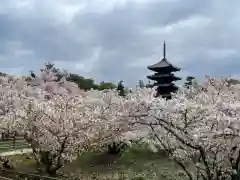 仁和寺の自然