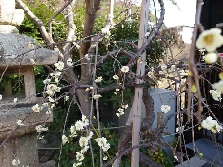 北野天満神社(兵庫県)
