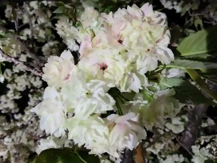 上地八幡宮の庭園