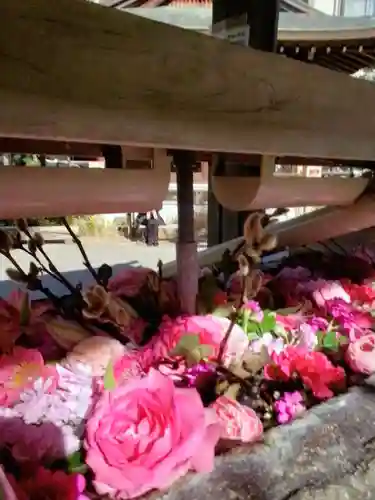 鳩森八幡神社の手水舎
