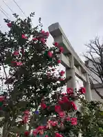 日野八坂神社(東京都)