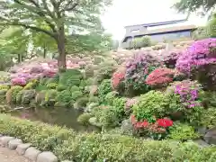 根津神社の庭園