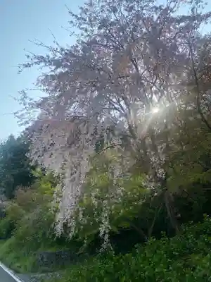 勝利寺(和歌山県)