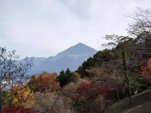 音楽寺(埼玉県)