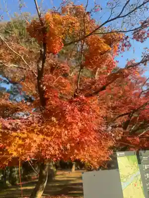 平等院(京都府)