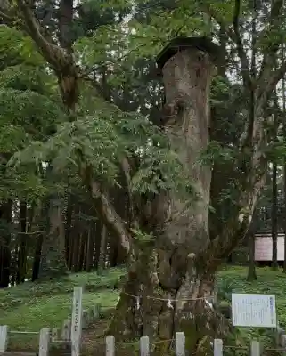 親都神社(群馬県)
