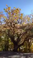 相馬神社(北海道)