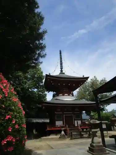 慈尊院(和歌山県)