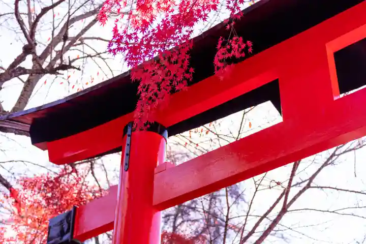 宇治上神社(京都府)