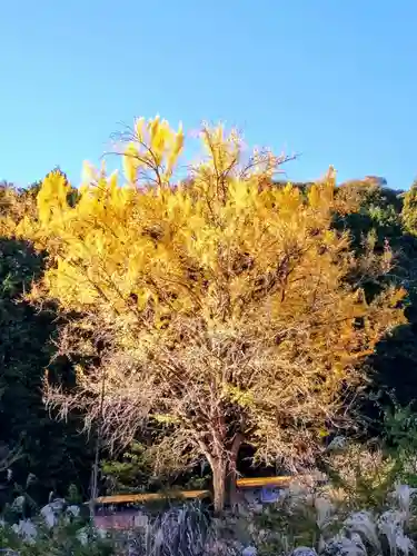 慈徳院(愛知県)