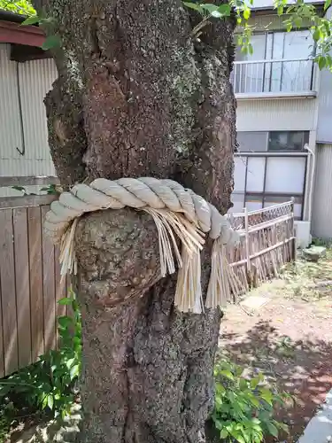小室浅間神社(山梨県)