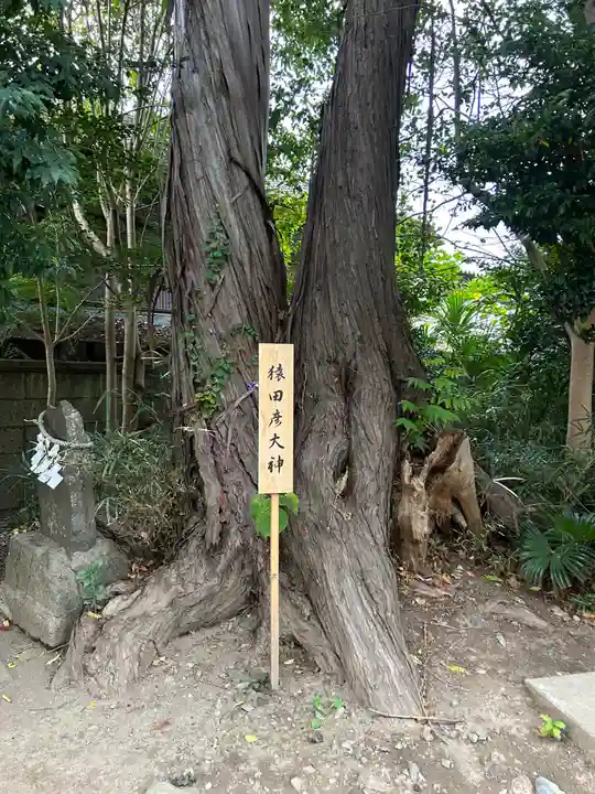 星宮神社(栃木県)