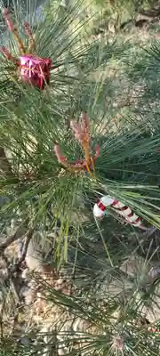 法輪寺のその他建物