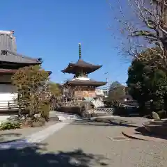 代立寺の建物その他