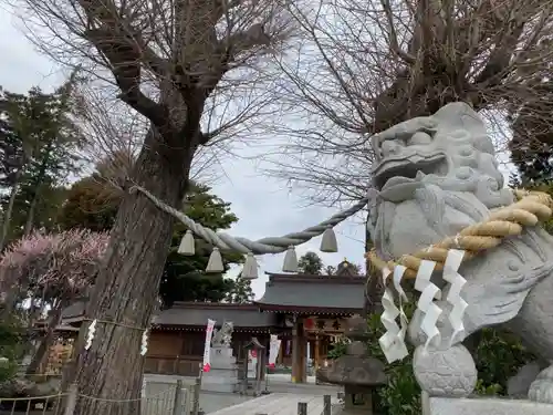 亀ケ池八幡宮の狛犬