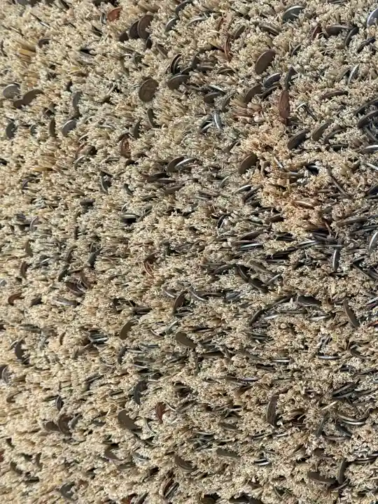 常陸国出雲大社の{uncategorized: "未分類", other: "その他", undefined: "問題あり", building: "その他建物", grave: "お墓", sacred_gate: "鳥居", guardian: "狛犬", statue: "像", buddha: "仏像", history: "歴史", nature: "自然", garden: "庭園", animal: "動物", pagoda: "塔", temizu: "手水舎", mountain_gate: "山門・神門", sanctuary: "本殿・本堂", subordinate: "末社・摂社", art: "芸術", scenery: "景色", jizo: "地蔵", ema: "絵馬", goshuin: "御朱印", omikuji: "おみくじ", items: "授与品その他", amulet: "お守り", goshuincho: "御朱印帳", eats: "食事", festival: "お祭り", votive_dance: "神楽", shichigosan: "七五三参", wedding: "結婚式", experience: "体験その他", initially: "初詣", around: "周辺", anti_infection: "感染症対策"}