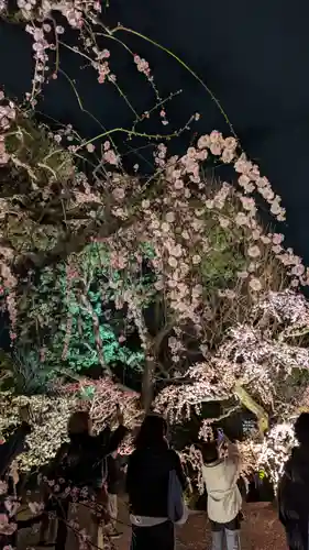 東寺（教王護国寺）(京都府)