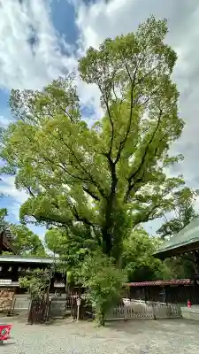 和泉國一之宮　大鳥大社(大阪府)