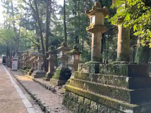 春日大社 若宮（春日若宮）(奈良県)