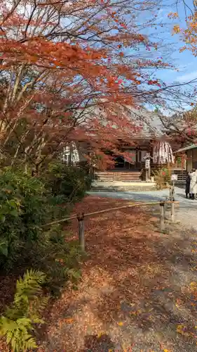 常照寺(京都府)