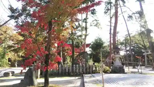 今宮神社の庭園