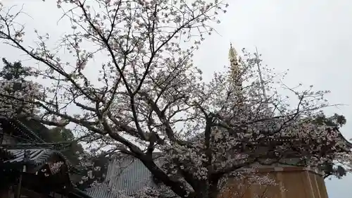 稱名寺の自然