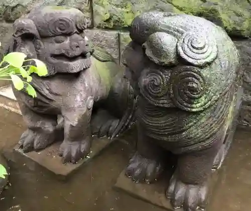 麻布氷川神社の狛犬