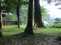水屋神社の自然