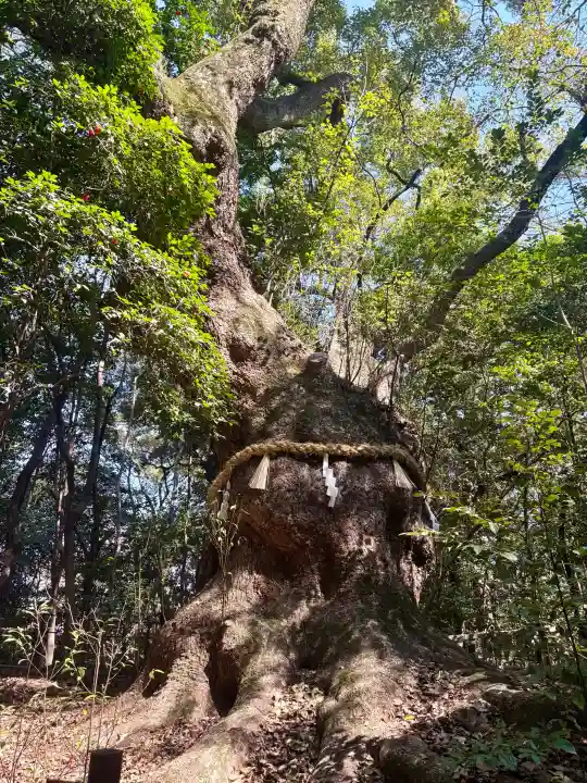 熱田神宮の{uncategorized: "未分類", other: "その他", undefined: "問題あり", building: "その他建物", grave: "お墓", sacred_gate: "鳥居", guardian: "狛犬", statue: "像", buddha: "仏像", history: "歴史", nature: "自然", garden: "庭園", animal: "動物", pagoda: "塔", temizu: "手水舎", mountain_gate: "山門・神門", sanctuary: "本殿・本堂", subordinate: "末社・摂社", art: "芸術", scenery: "景色", jizo: "地蔵", ema: "絵馬", goshuin: "御朱印", omikuji: "おみくじ", items: "授与品その他", amulet: "お守り", goshuincho: "御朱印帳", eats: "食事", festival: "お祭り", votive_dance: "神楽", shichigosan: "七五三参", wedding: "結婚式", experience: "体験その他", initially: "初詣", around: "周辺", anti_infection: "感染症対策"}