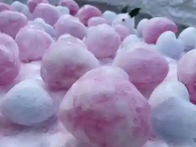 彌彦神社　(伊夜日子神社)の芸術